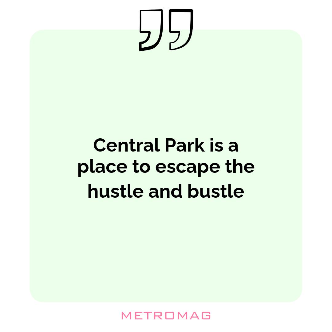Central Park is a place to escape the hustle and bustle