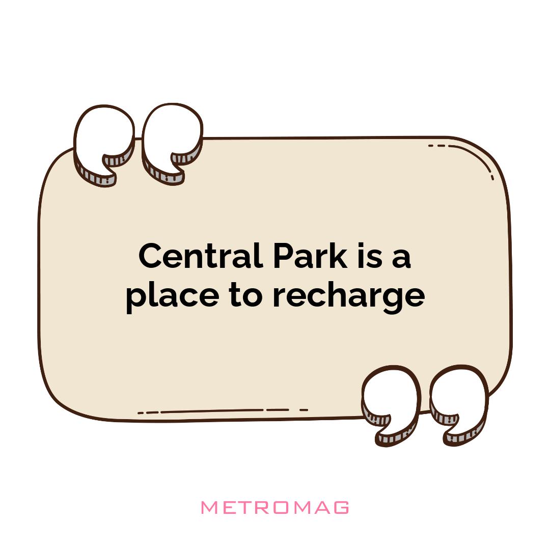 Central Park is a place to recharge