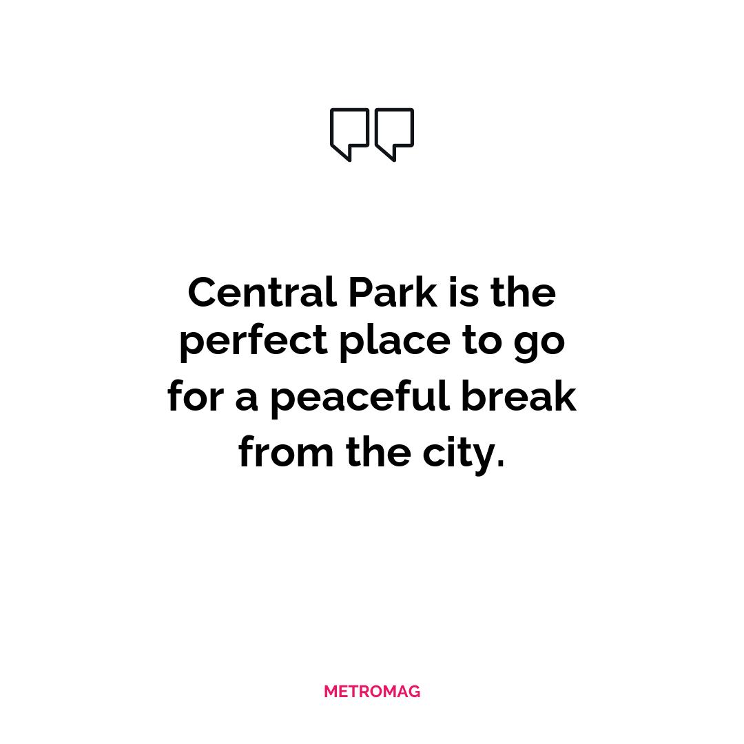 Central Park is the perfect place to go for a peaceful break from the city.