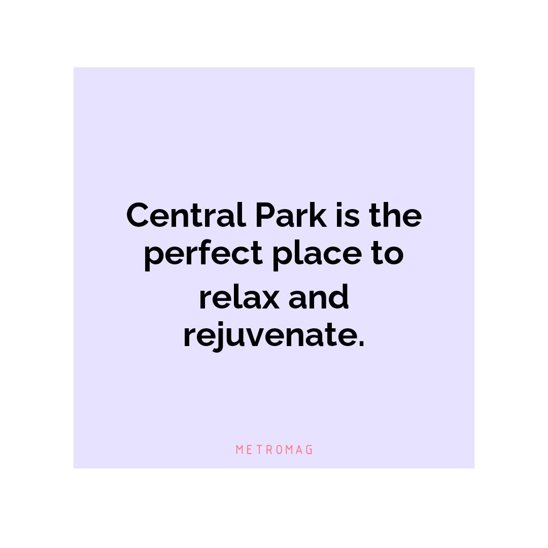 Central Park is the perfect place to relax and rejuvenate.