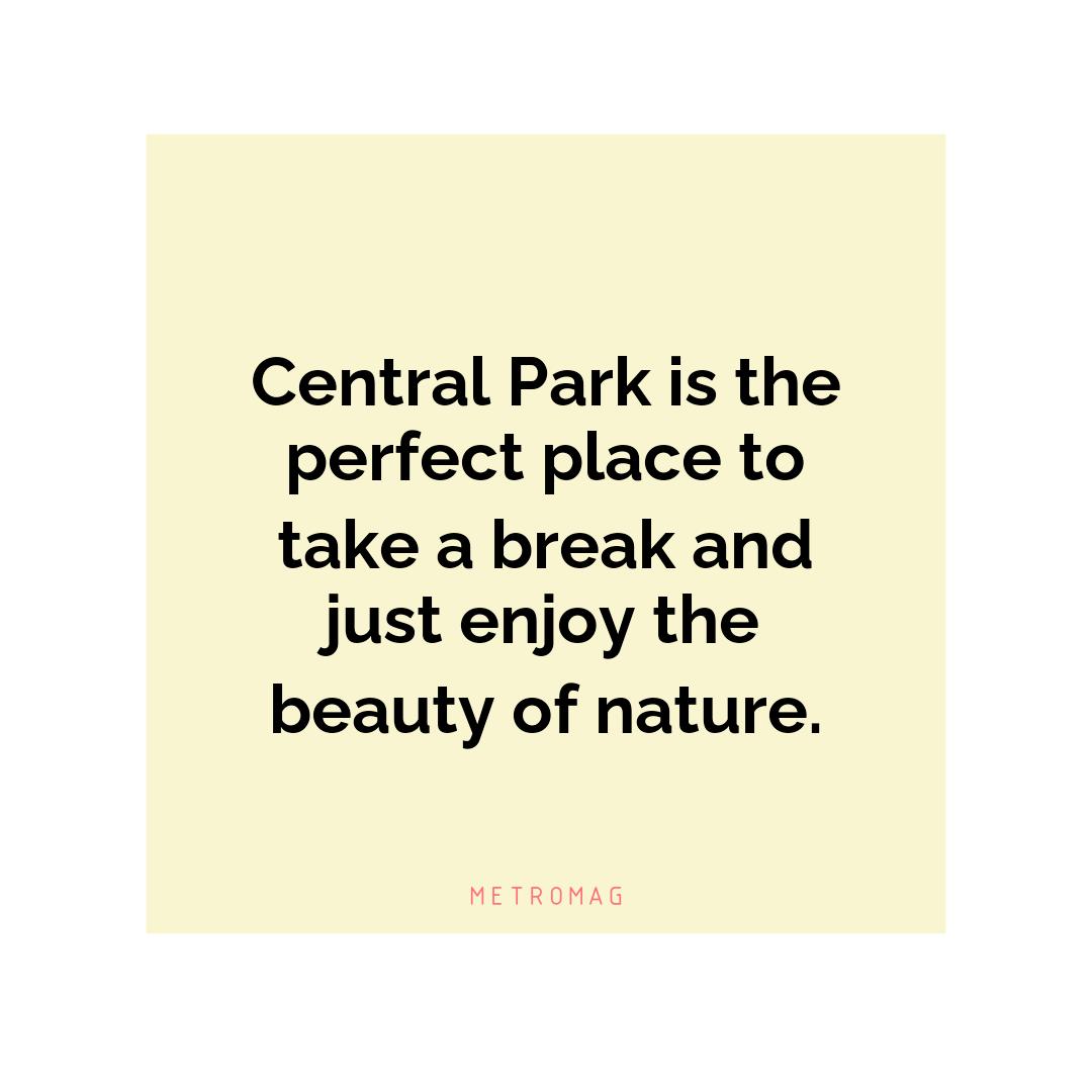 Central Park is the perfect place to take a break and just enjoy the beauty of nature.