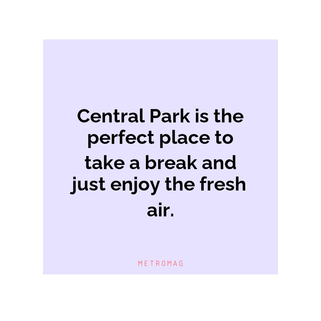 Central Park is the perfect place to take a break and just enjoy the fresh air.