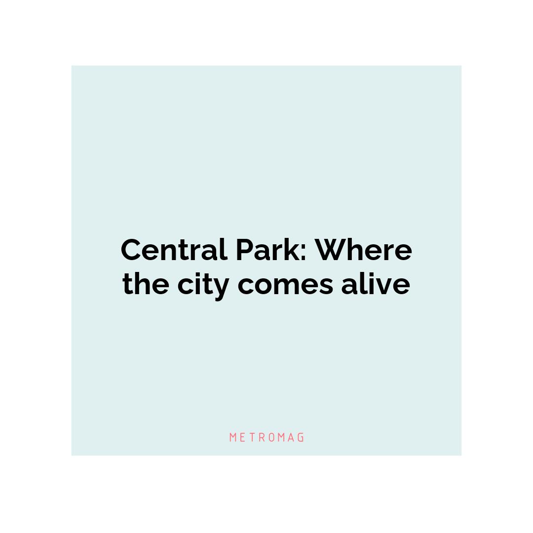 Central Park: Where the city comes alive