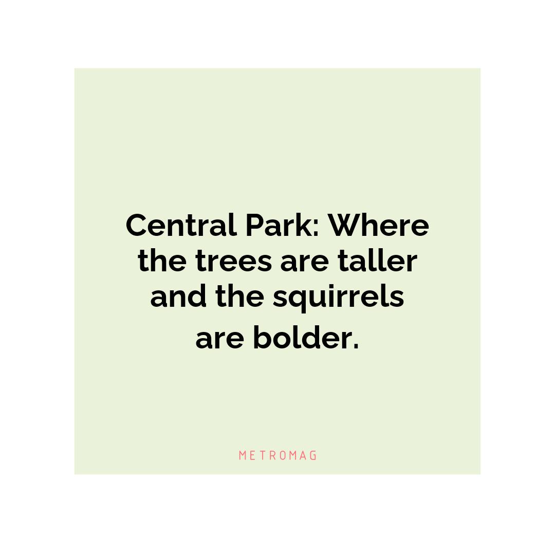 Central Park: Where the trees are taller and the squirrels are bolder.