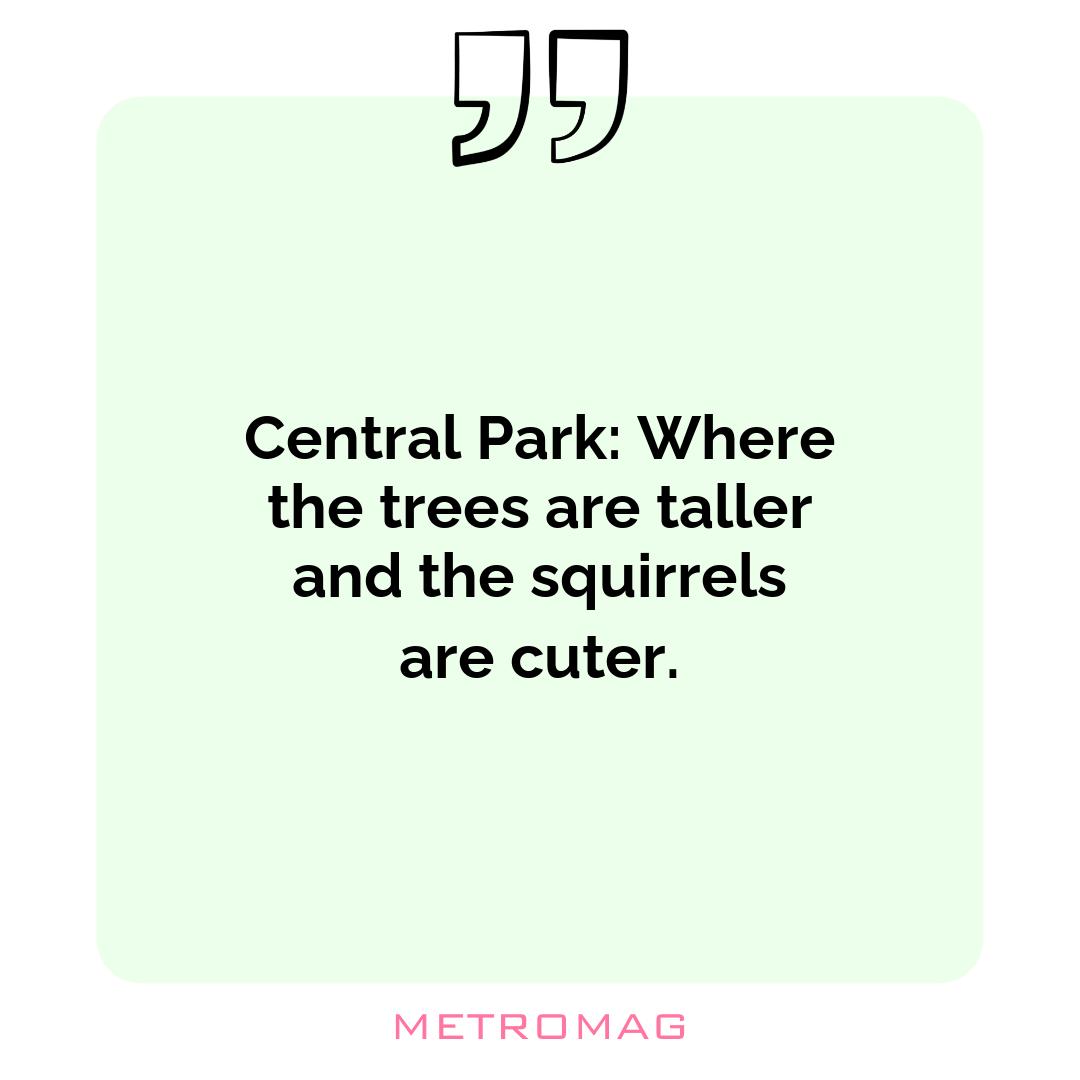 Central Park: Where the trees are taller and the squirrels are cuter.