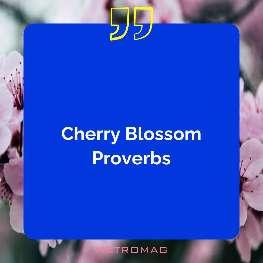 Cherry Blossom Proverbs