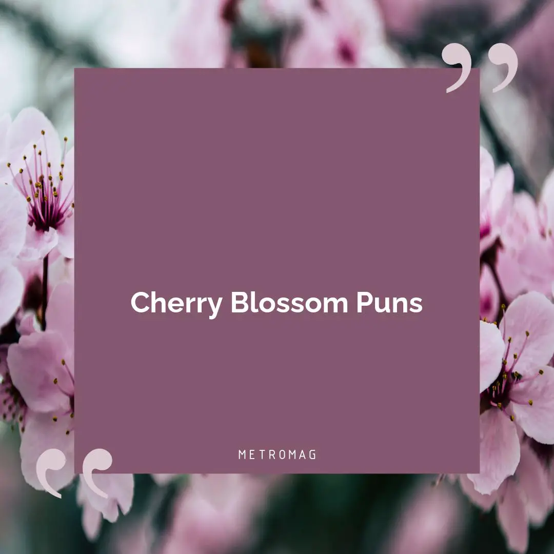 Cherry Blossom Puns