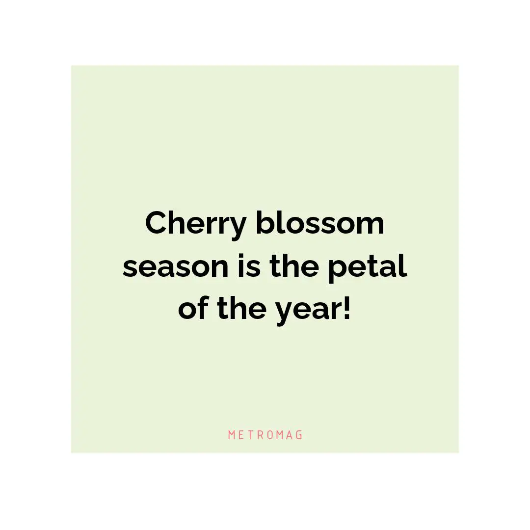 Cherry blossom season is the petal of the year!