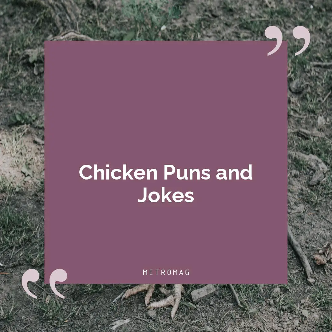Chicken Puns and Jokes