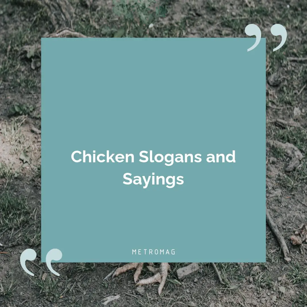 Chicken Slogans and Sayings