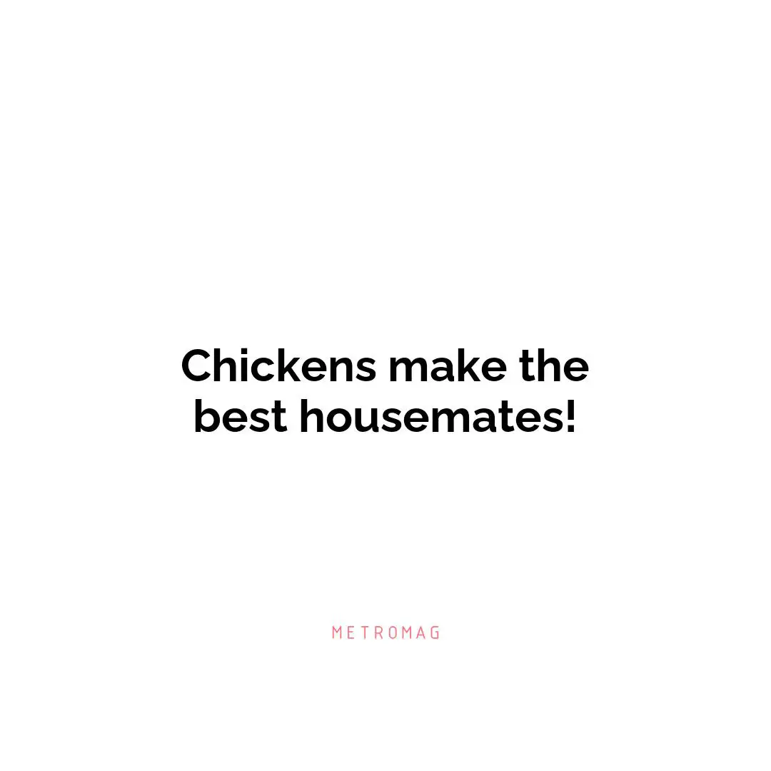 Chickens make the best housemates!
