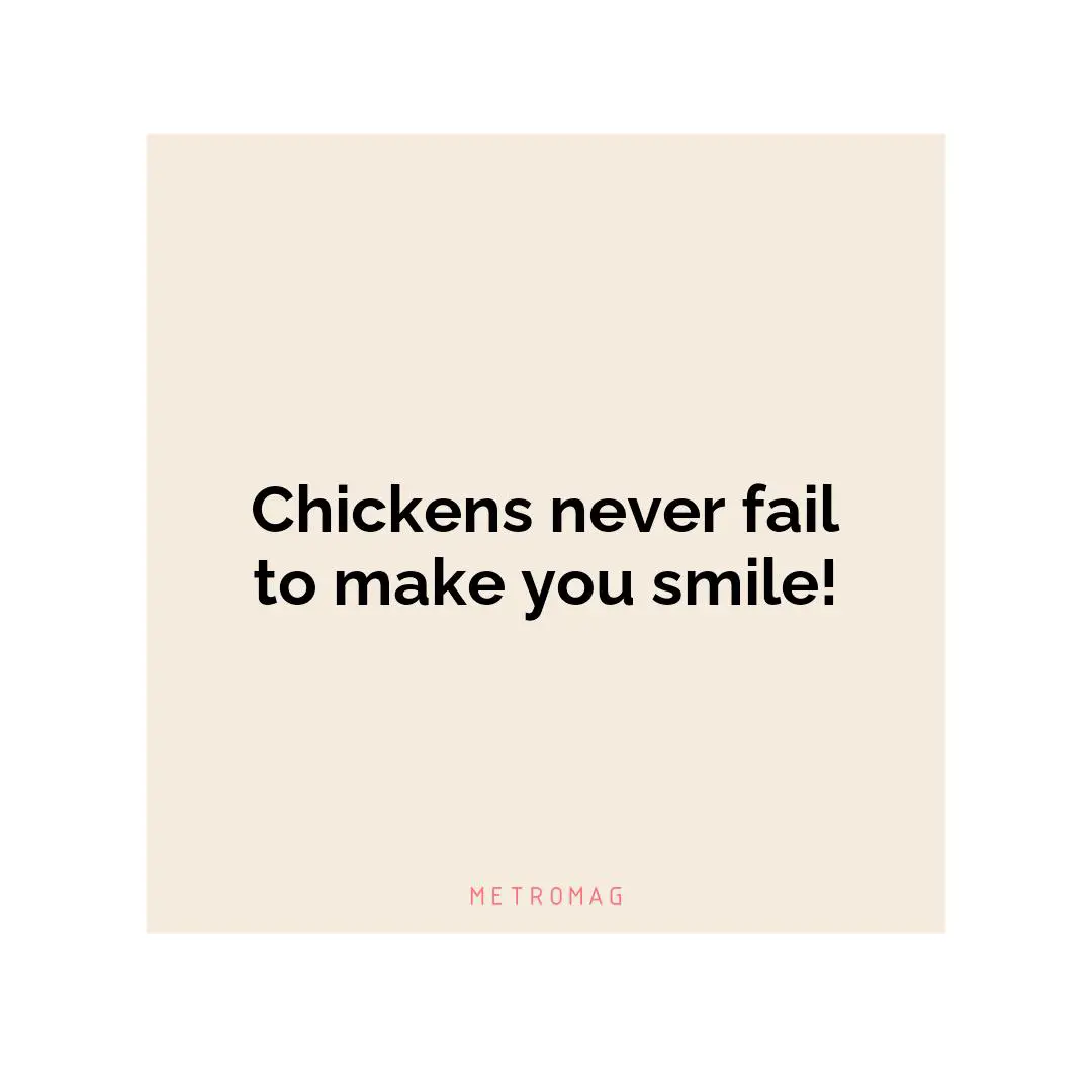 Chickens never fail to make you smile!