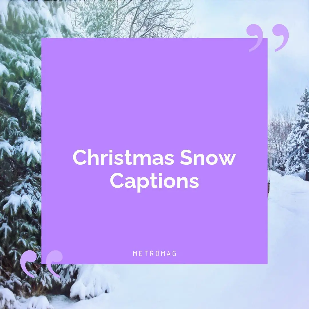 Christmas Snow Captions