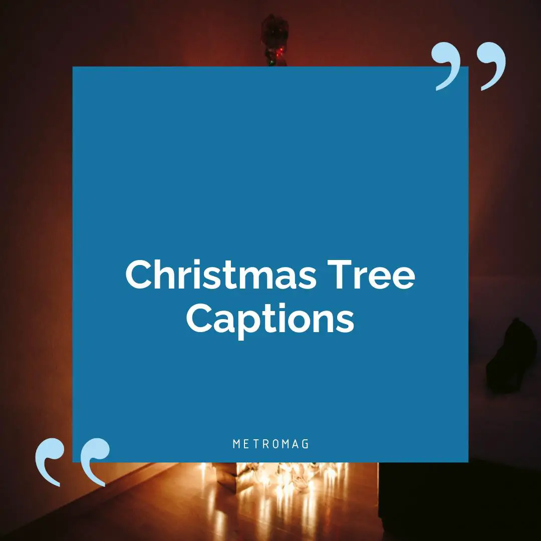 Christmas Tree Captions