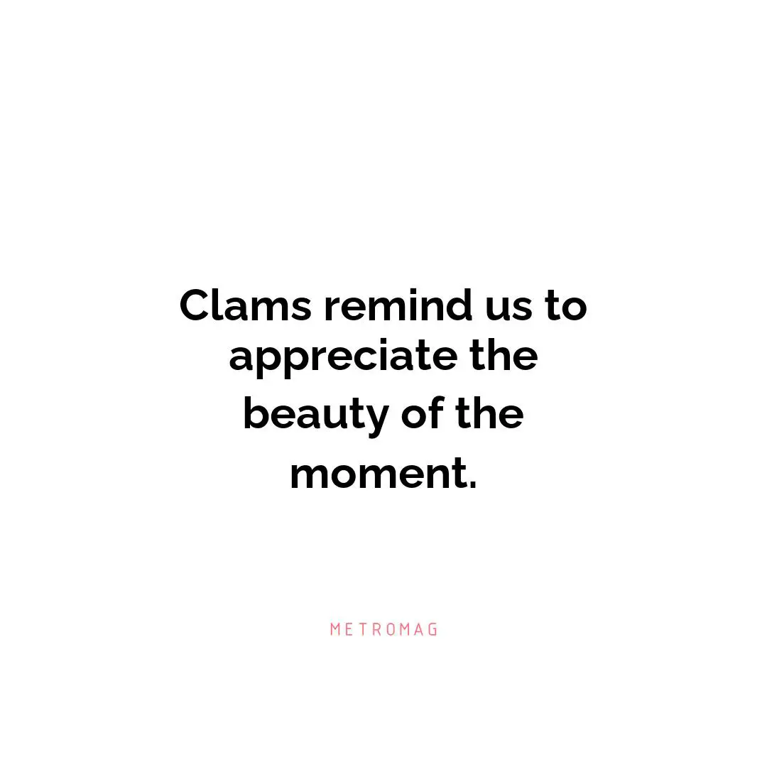 Clams remind us to appreciate the beauty of the moment.