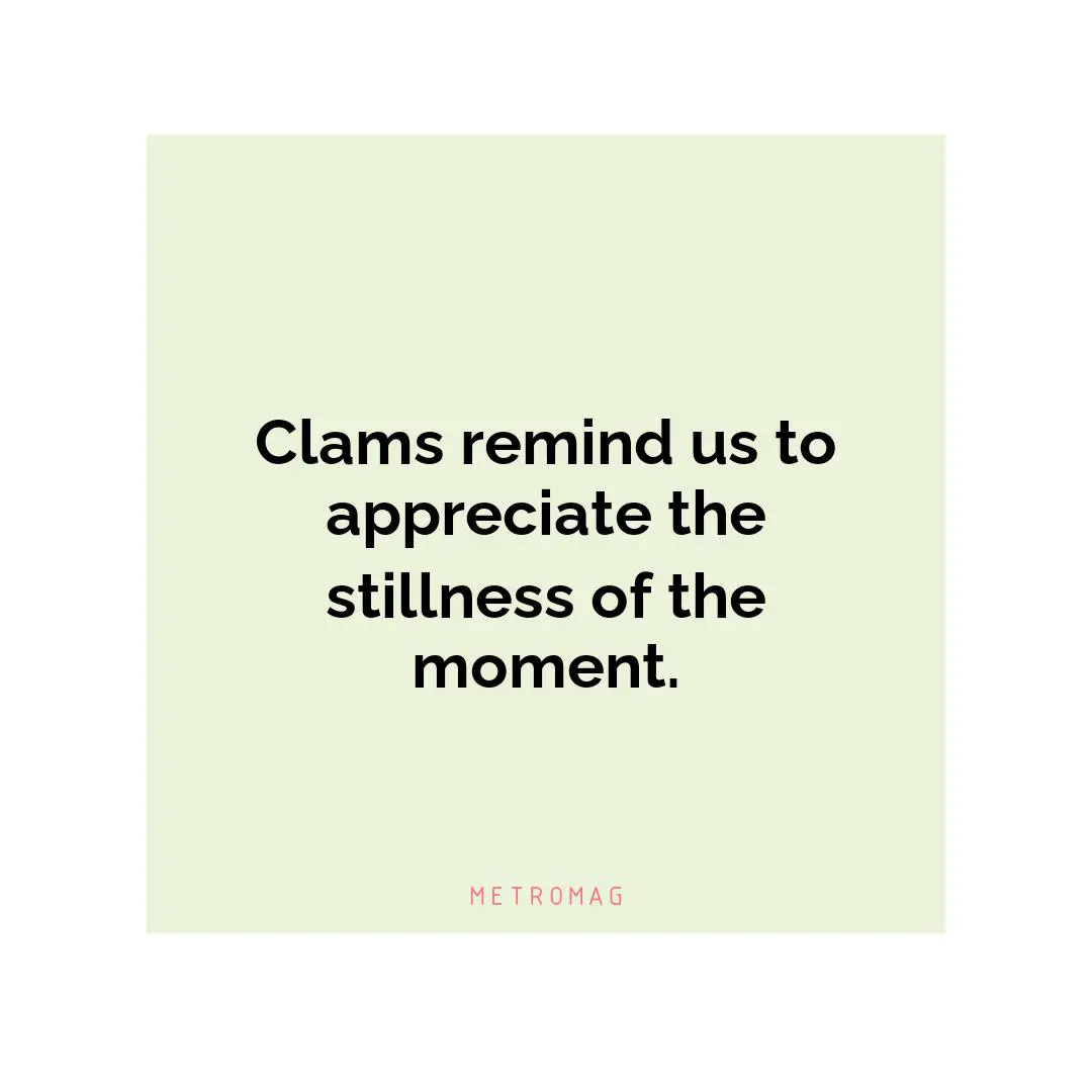 Clams remind us to appreciate the stillness of the moment.
