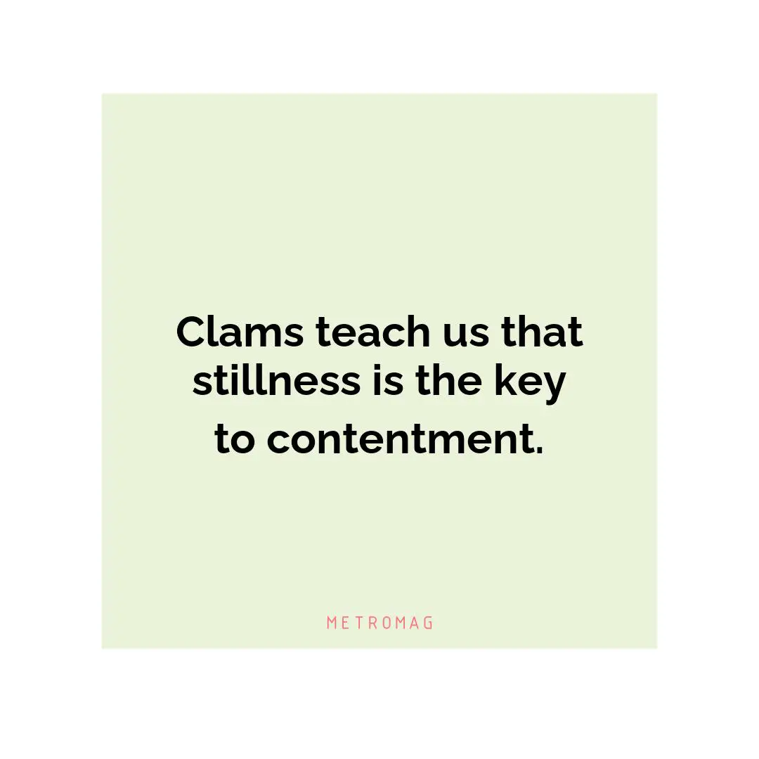 Clams teach us that stillness is the key to contentment.