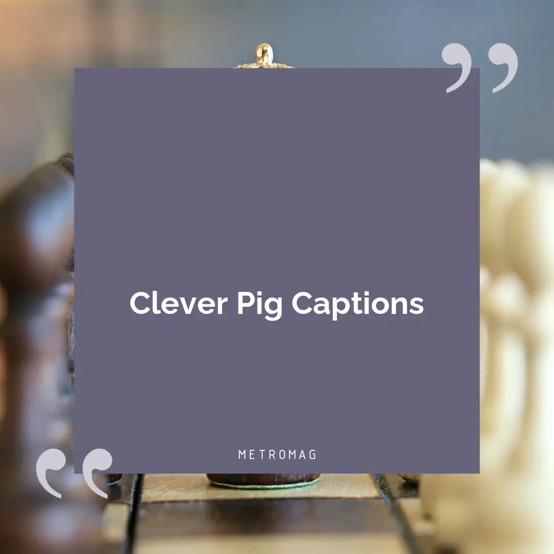 Clever Pig Captions
