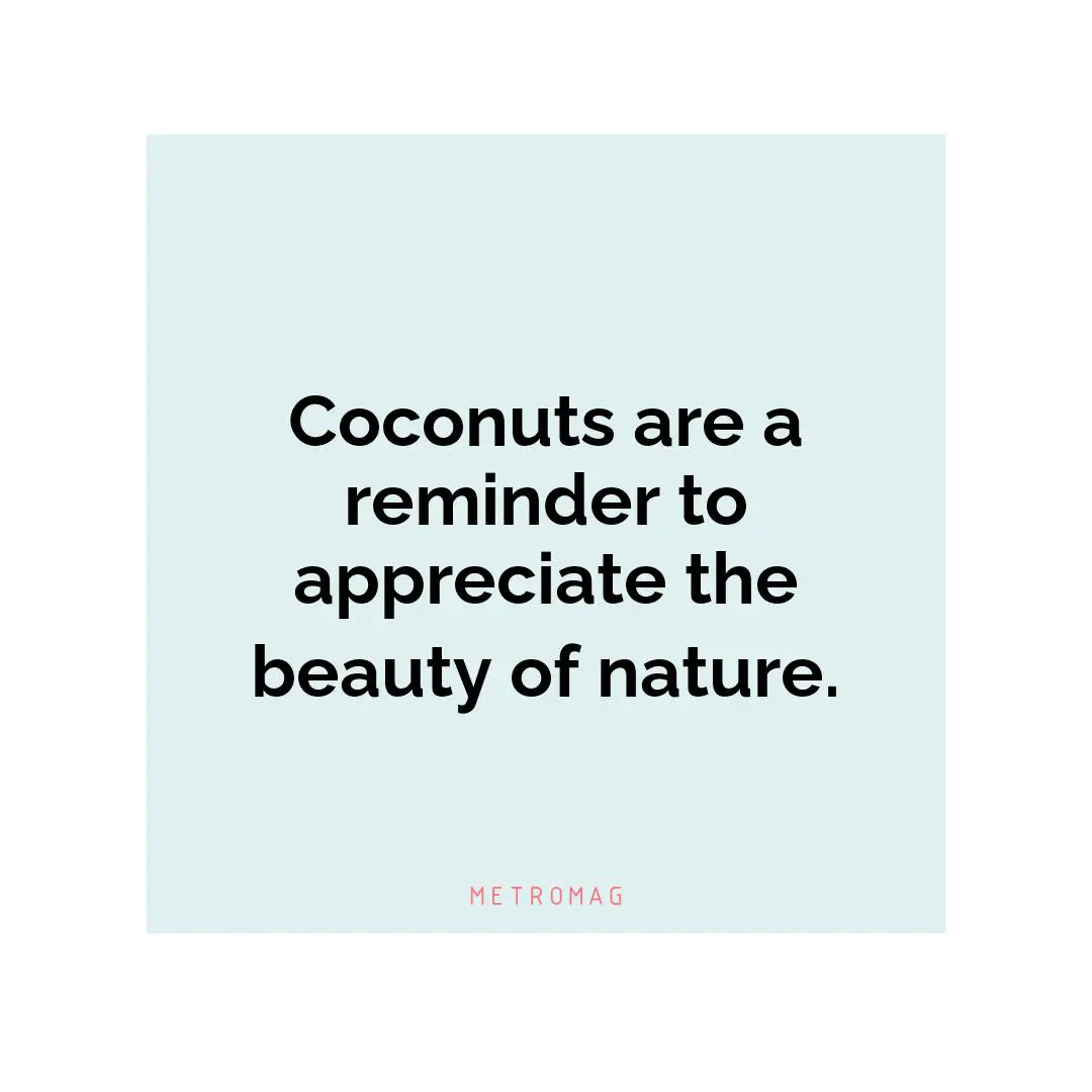 Coconuts are a reminder to appreciate the beauty of nature.