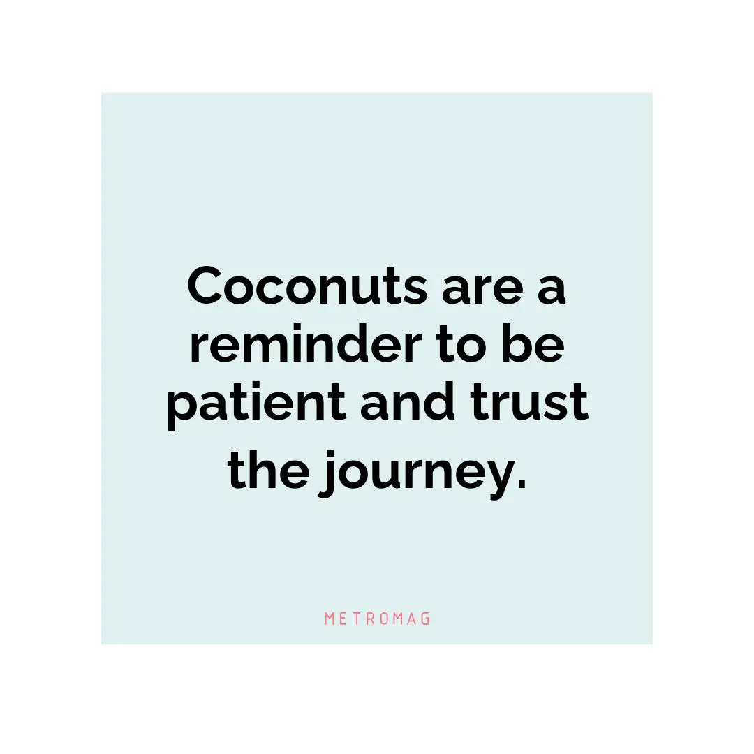 Coconuts are a reminder to be patient and trust the journey.