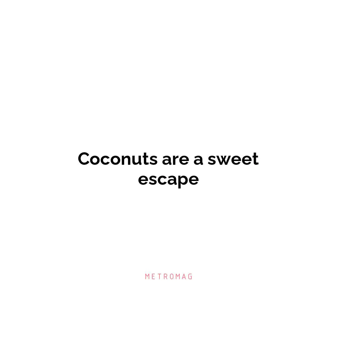 Coconuts are a sweet escape
