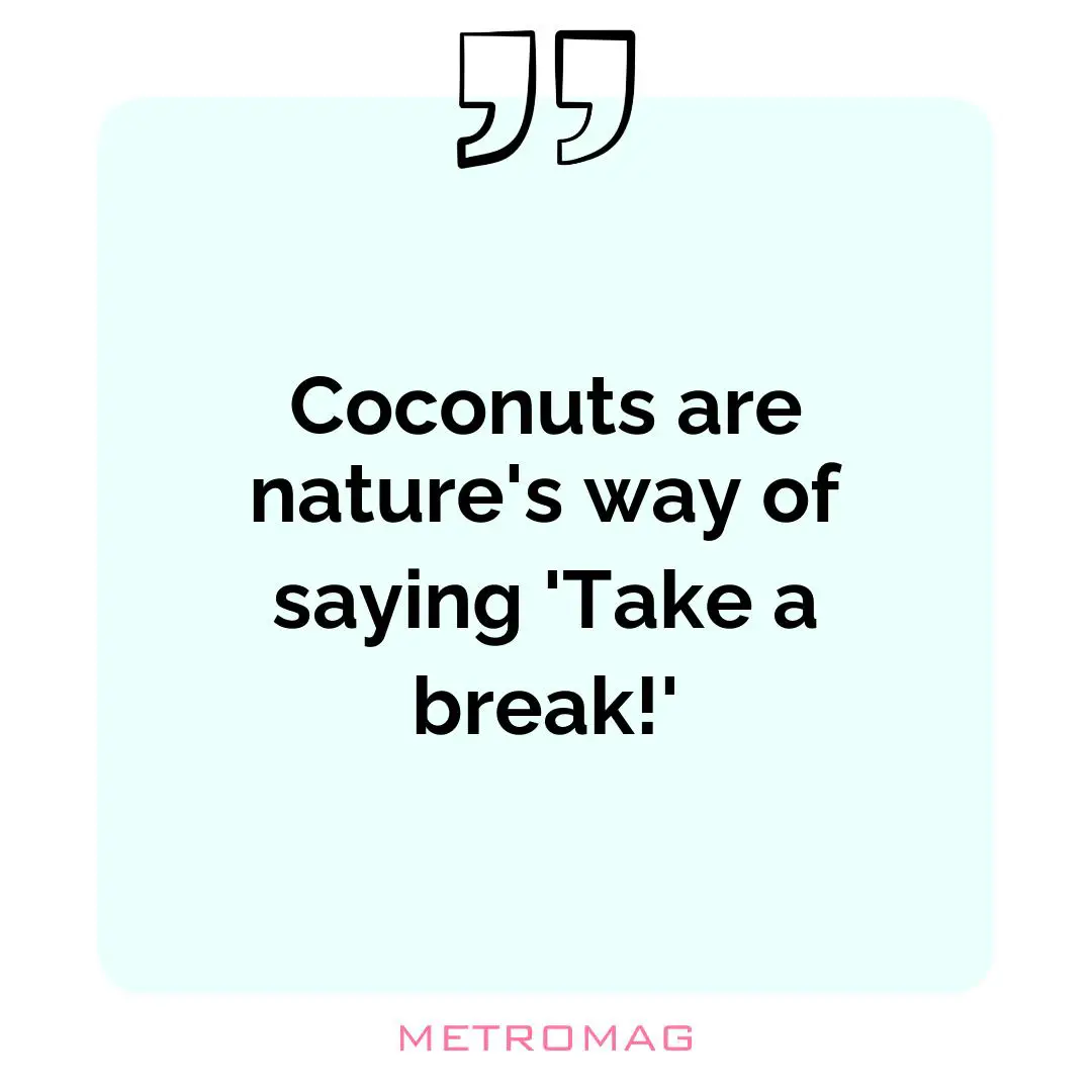 Coconuts are nature's way of saying 'Take a break!'