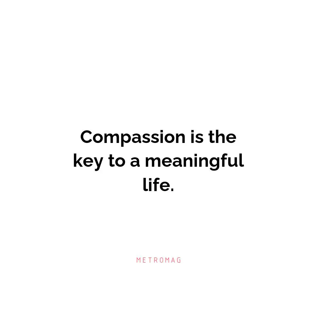 Compassion is the key to a meaningful life.