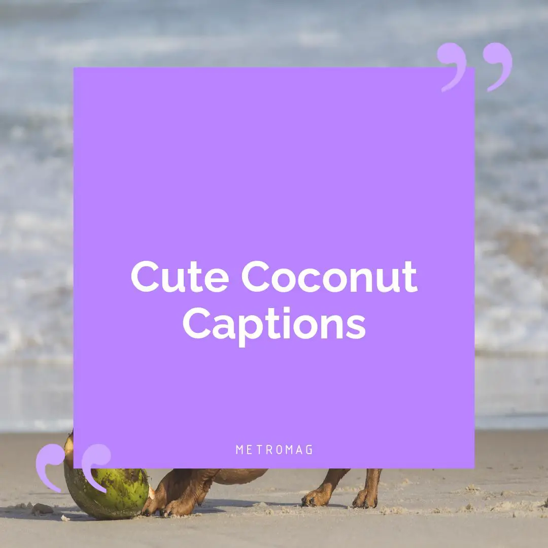 Cute Coconut Captions