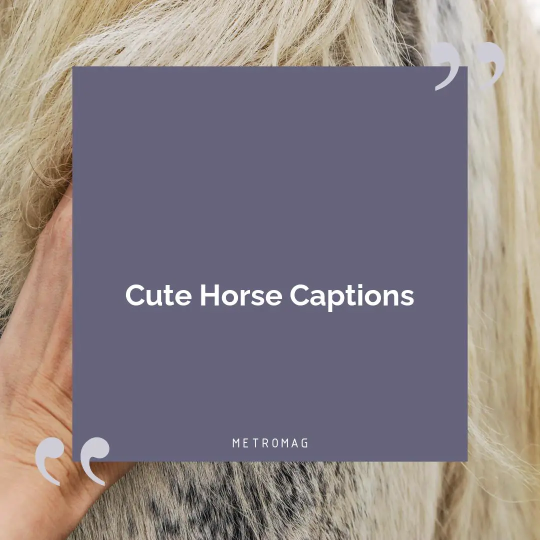 Cute Horse Captions
