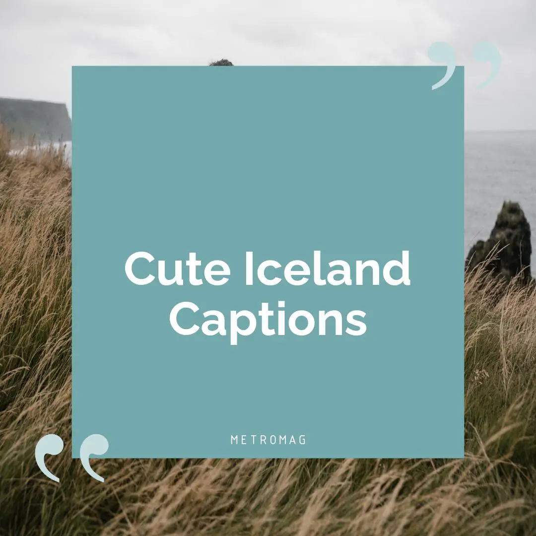 Cute Iceland Captions