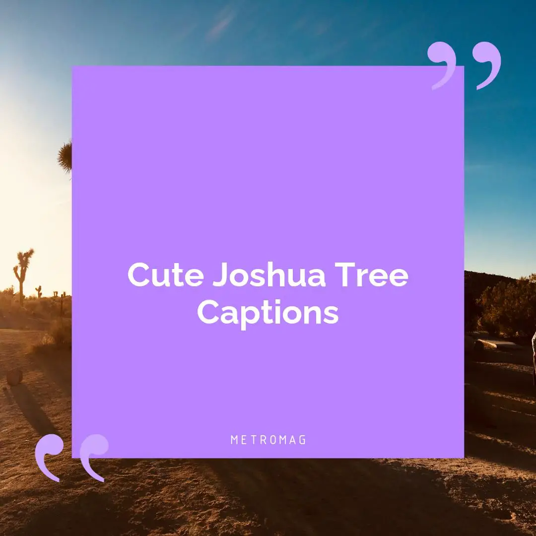 Cute Joshua Tree Captions