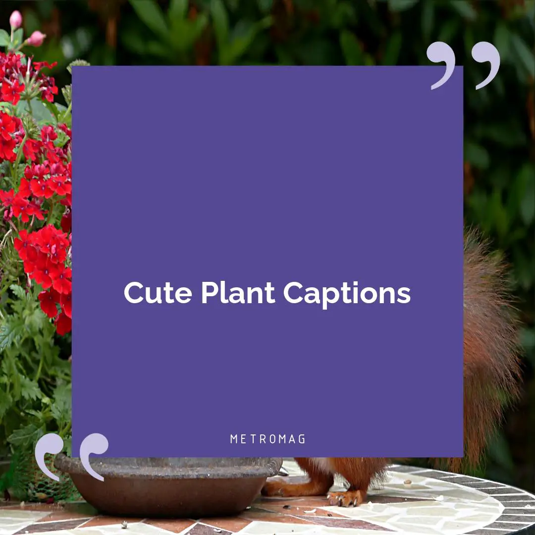 Cute Plant Captions