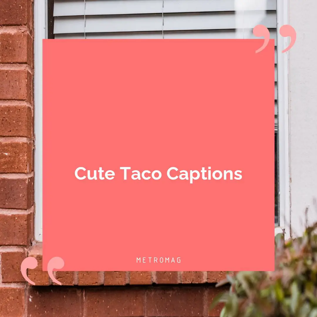 Cute Taco Captions