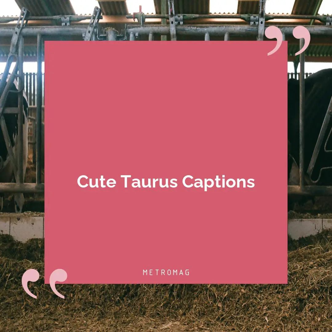 Cute Taurus Captions