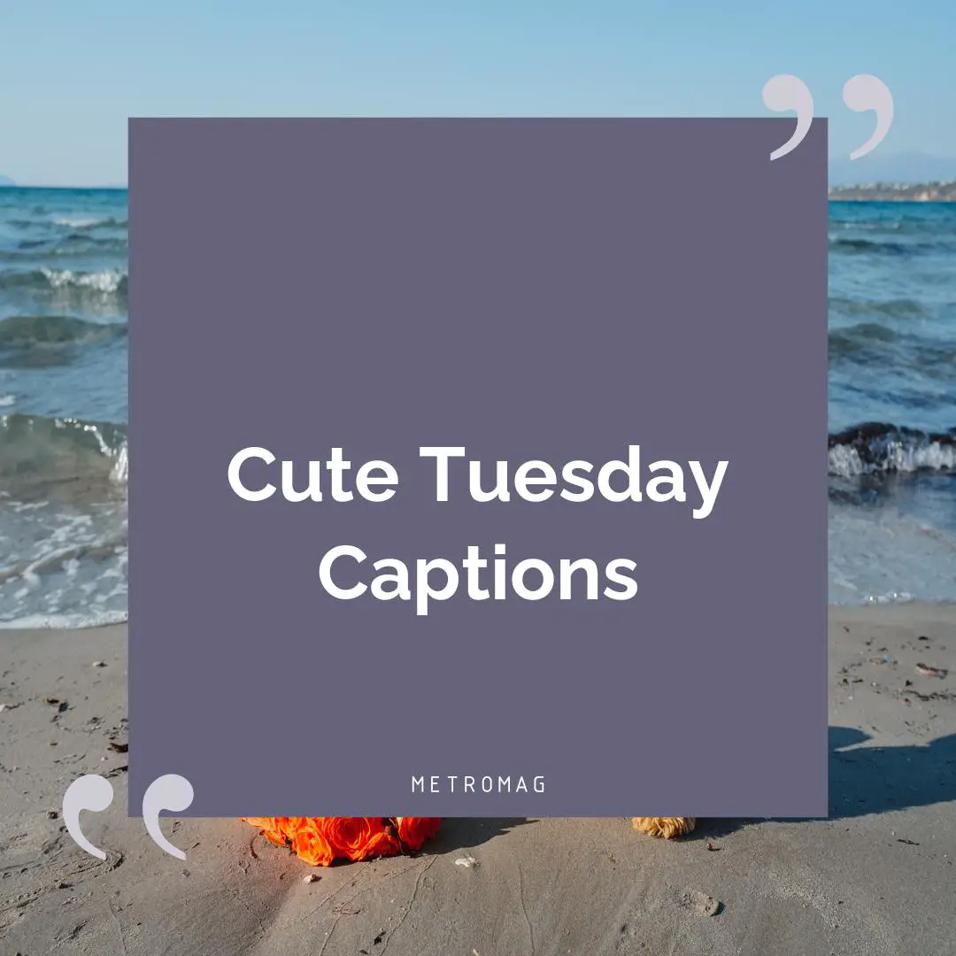 Cute Tuesday Captions