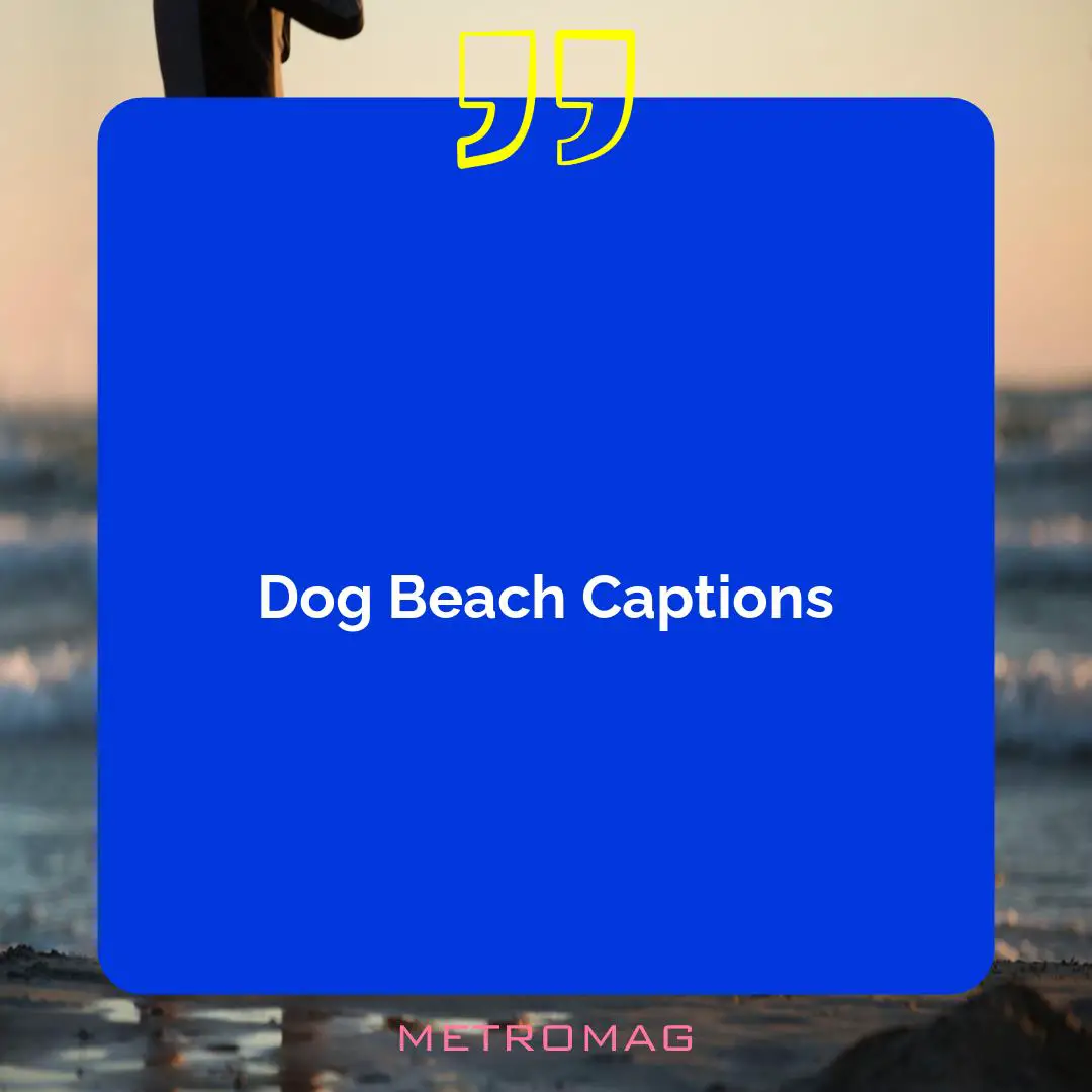 Dog Beach Captions