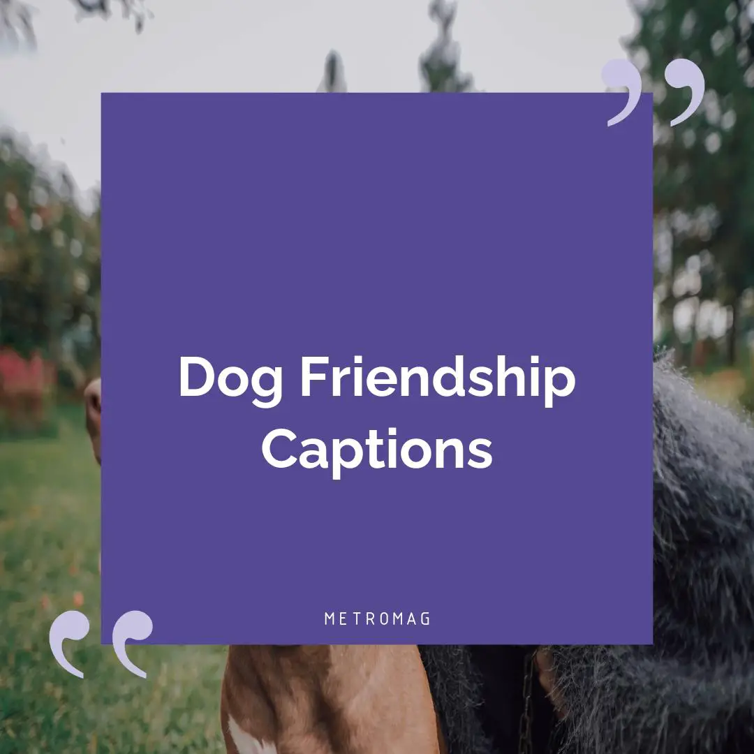 Dog Friendship Captions