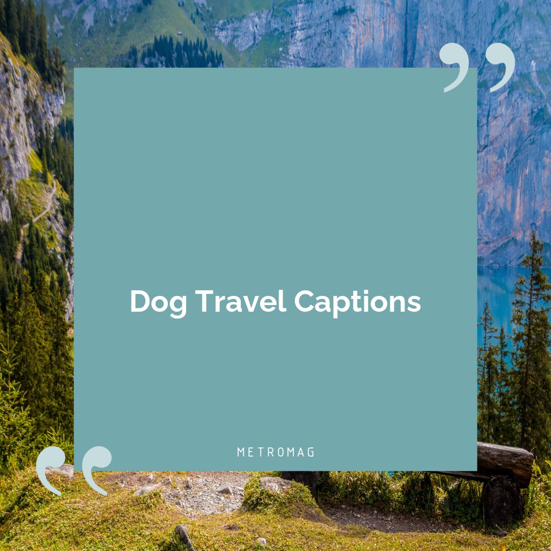 Dog Travel Captions