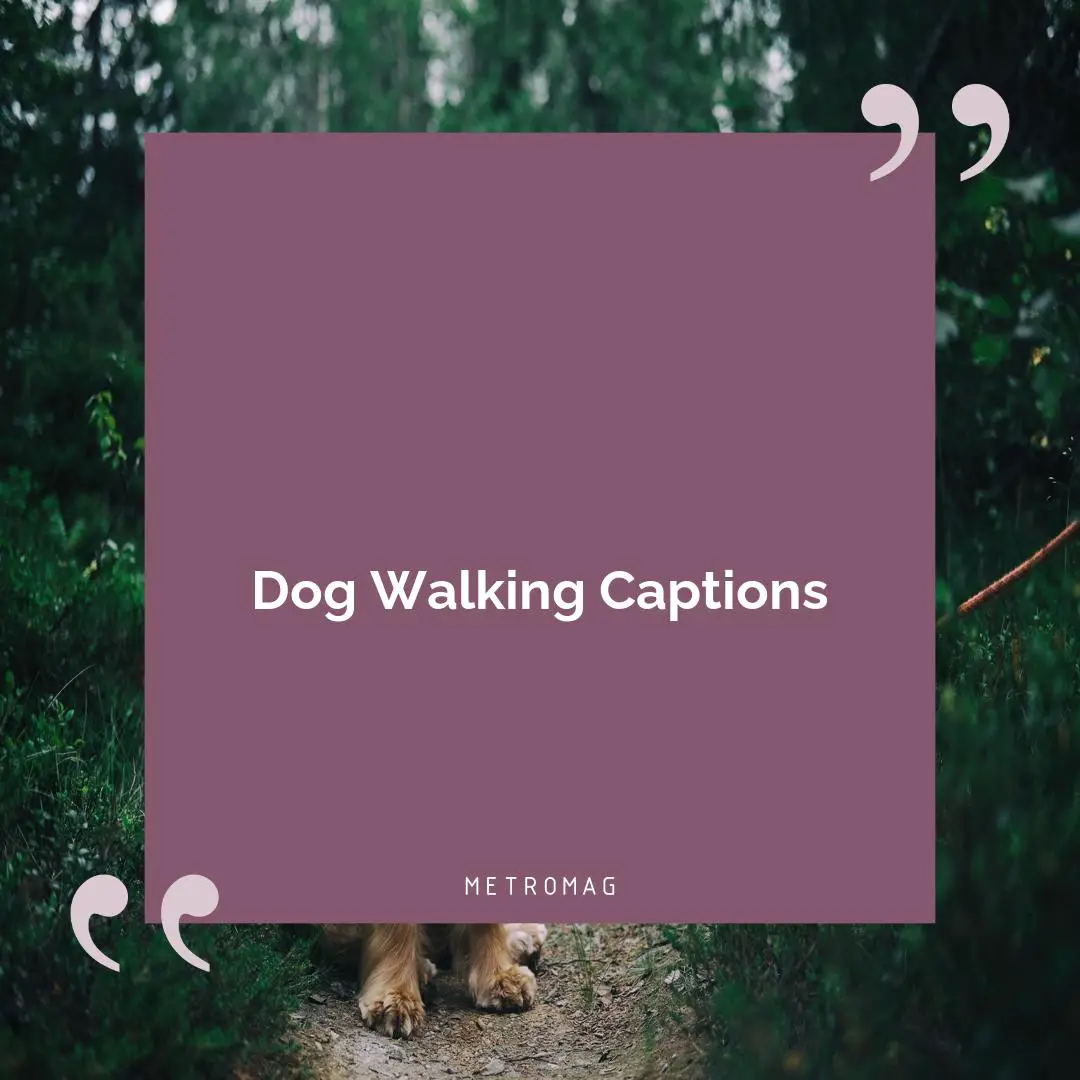 Dog Walking Captions
