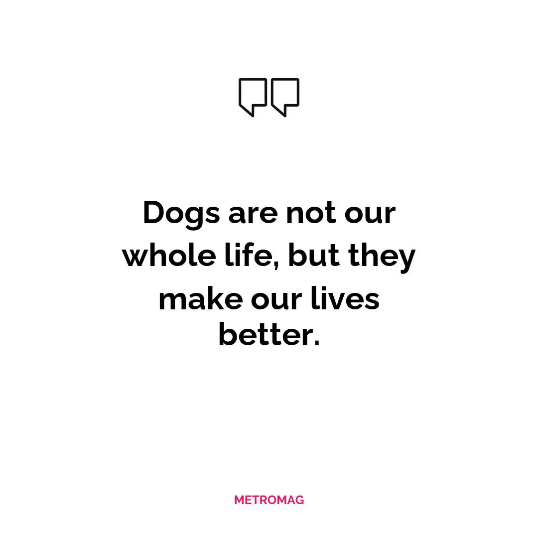 Dogs are not our whole life, but they make our lives better.