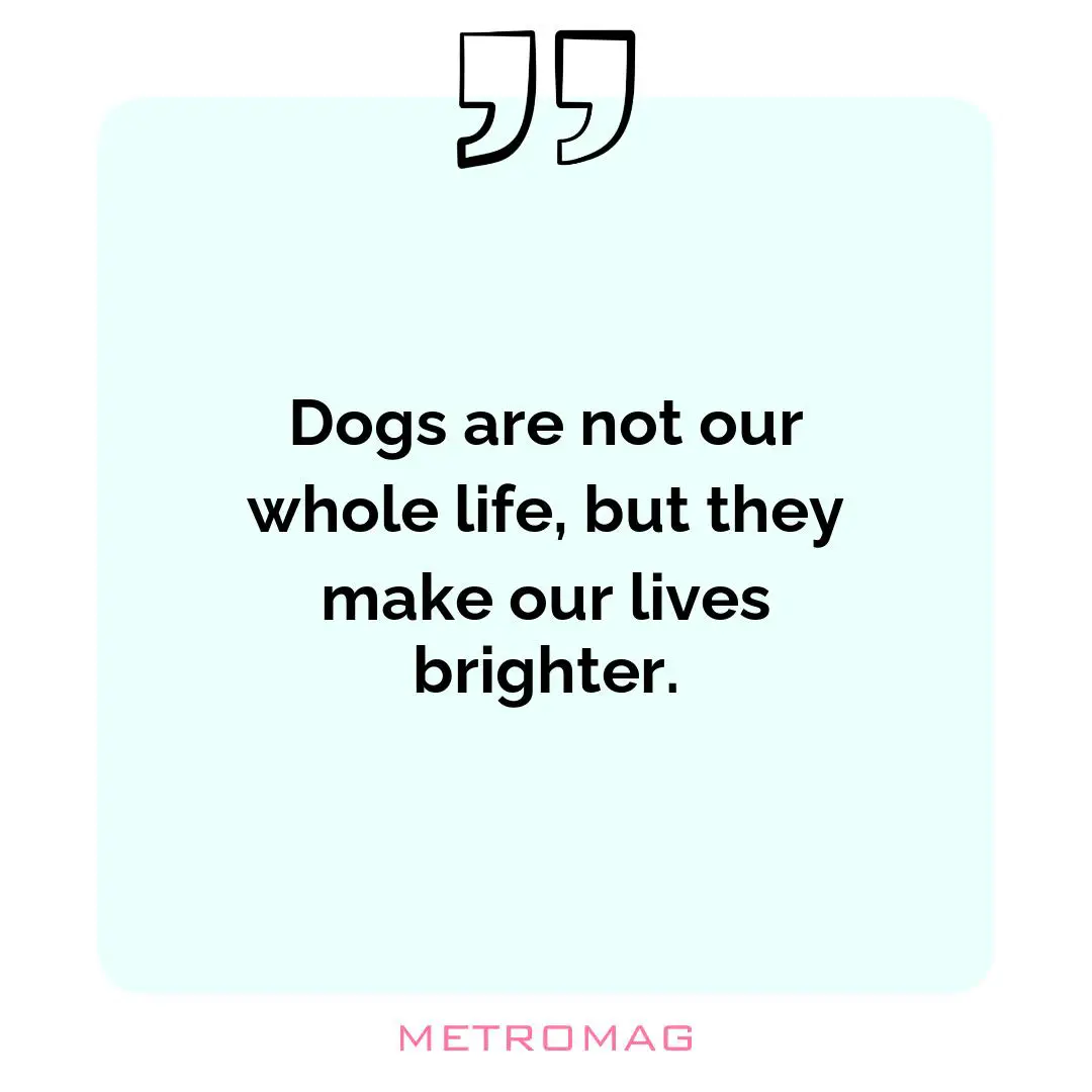 Dogs are not our whole life, but they make our lives brighter.