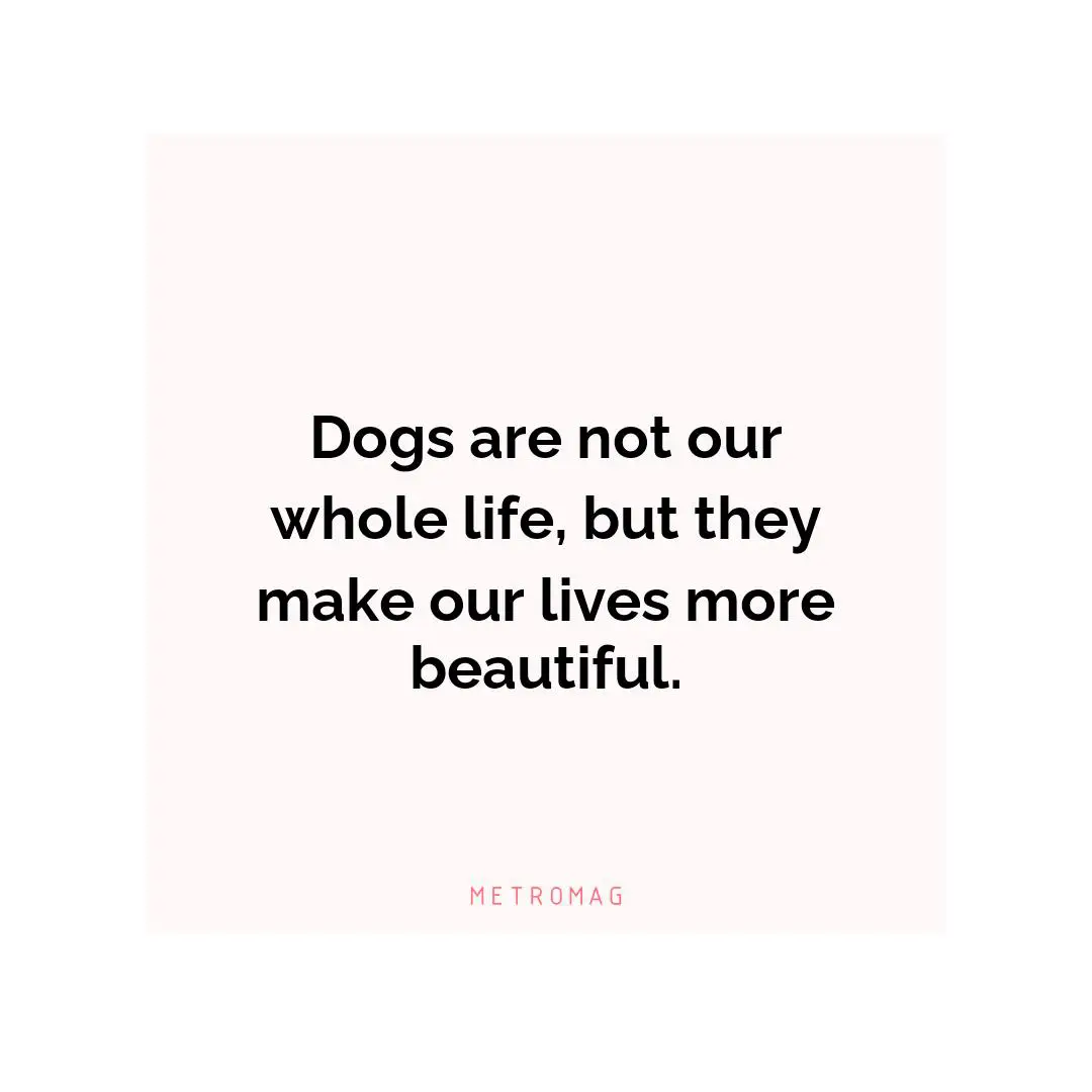 Dogs are not our whole life, but they make our lives more beautiful.