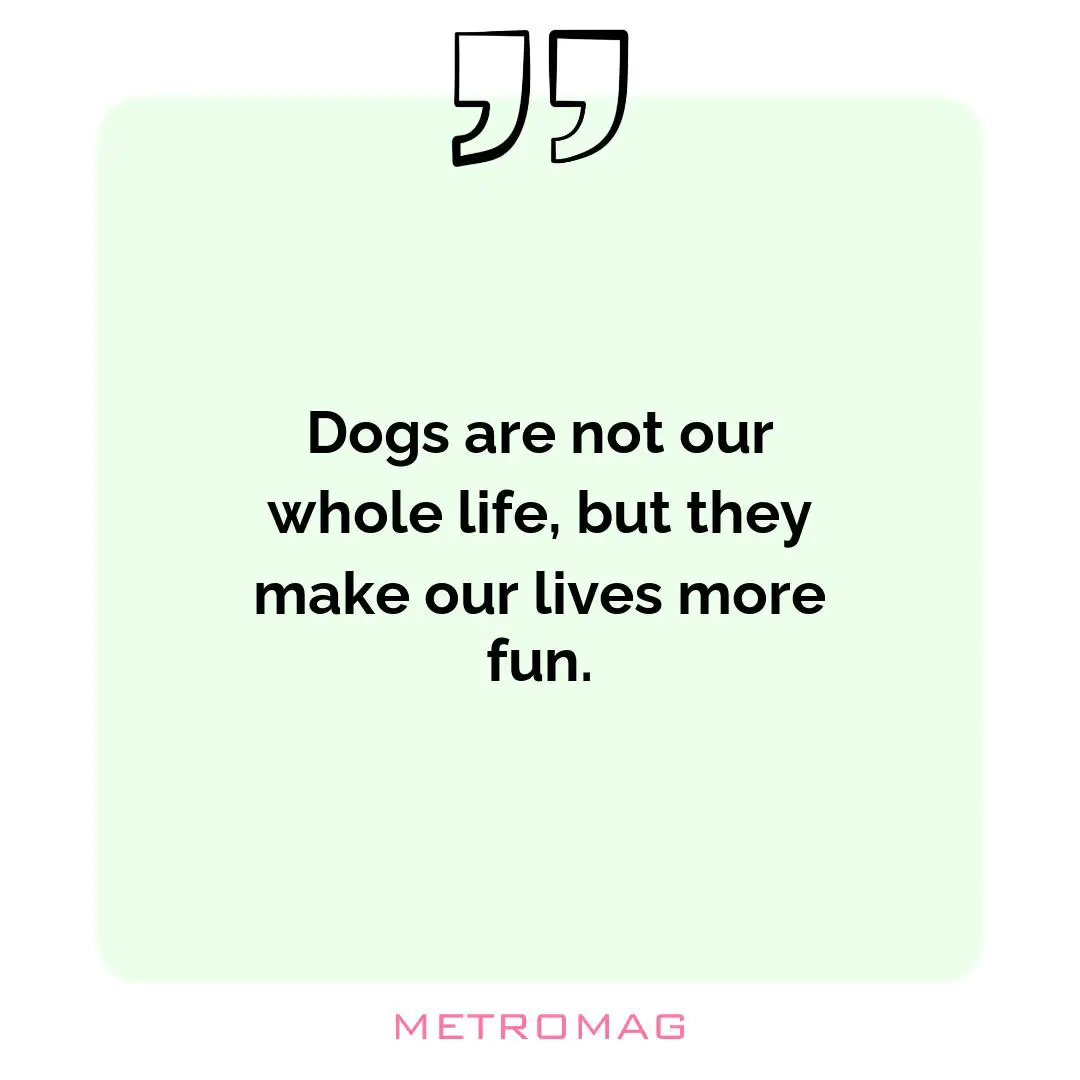Dogs are not our whole life, but they make our lives more fun.