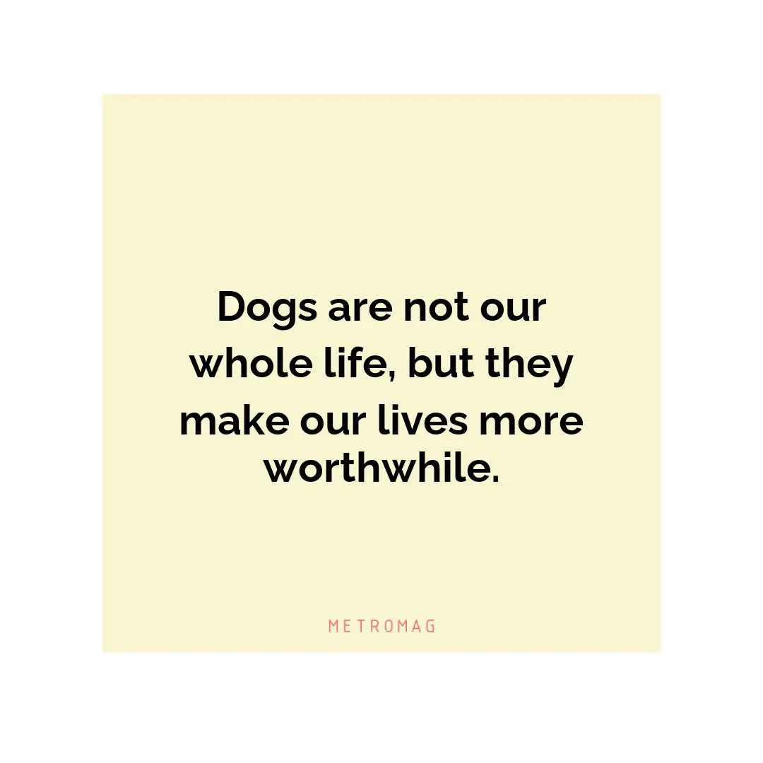 Dogs are not our whole life, but they make our lives more worthwhile.