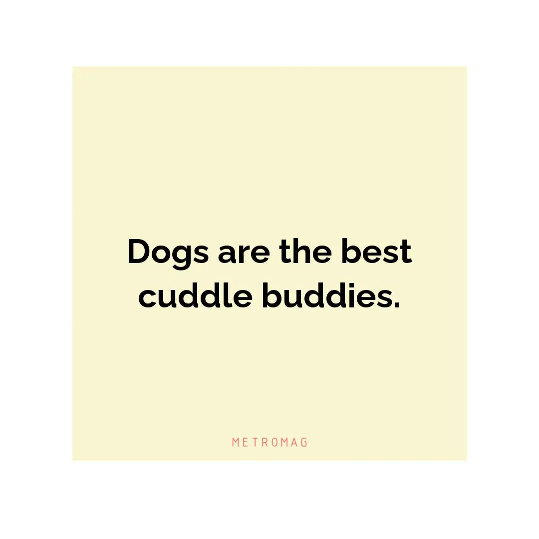 Dogs are the best cuddle buddies.