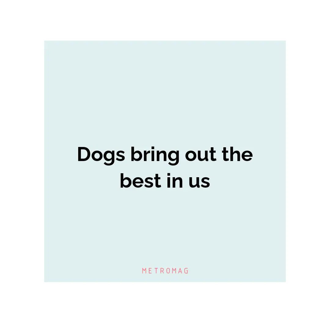 Dogs bring out the best in us