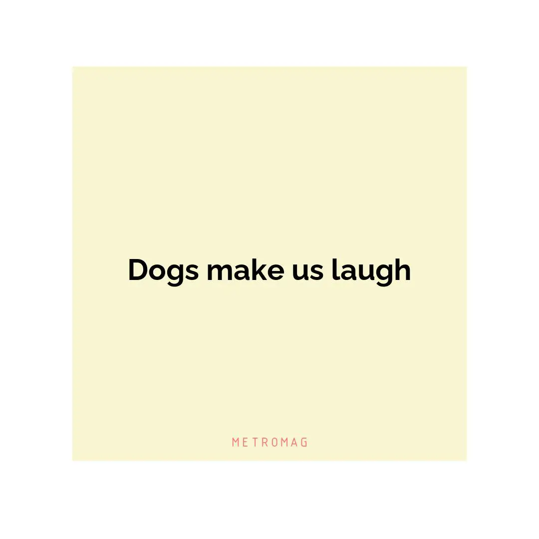 Dogs make us laugh