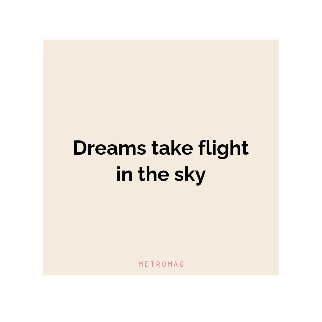 Dreams take flight in the sky