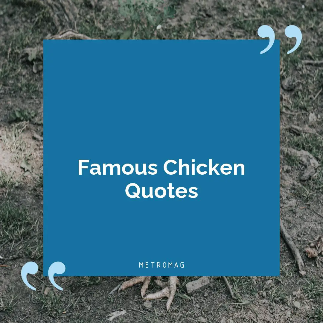 Famous Chicken Quotes