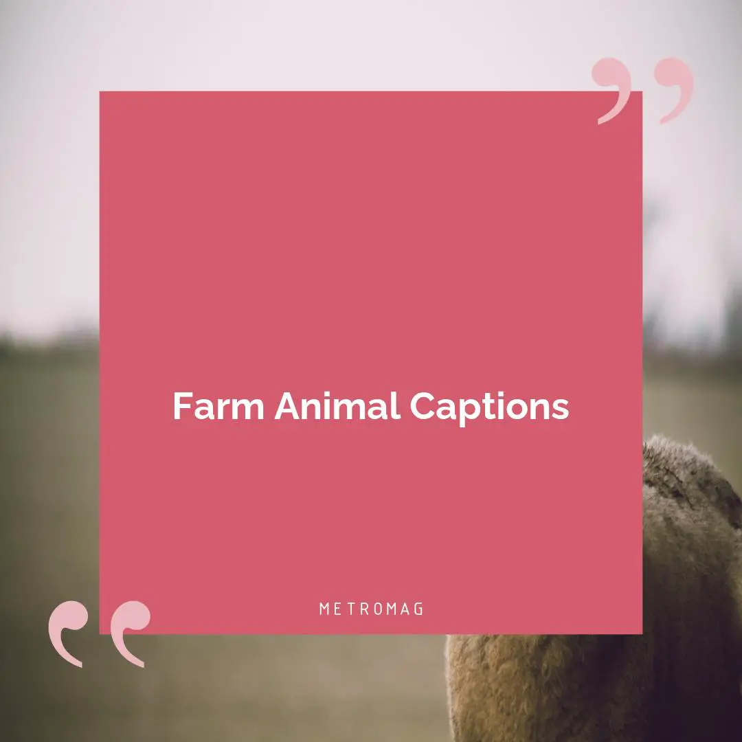 Farm Animal Captions